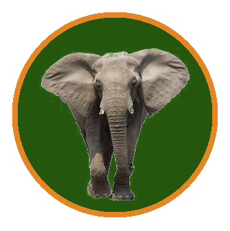 SafariBrite